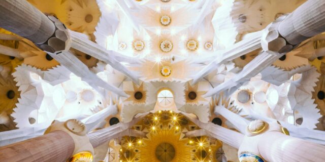 edwin-chen-bcVwQzNCkiE-unsplash