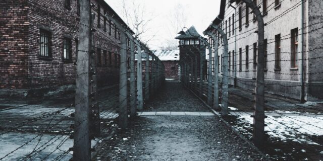 erica-magugliani-zTUoiPYvyY8-unsplash