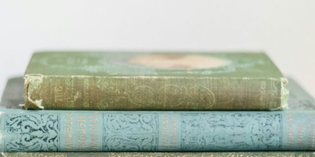 fiona-murray-degraaff-ucVQSurRUrw-unsplash fiona-murray-degraaff-ucVQSurRUrw-unsplash