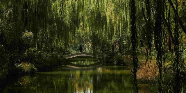 hendrik-will-P8P2L_nMGhU-unsplash-