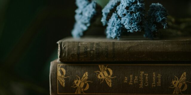 zoe-qo6OCDyLR1U-unsplash